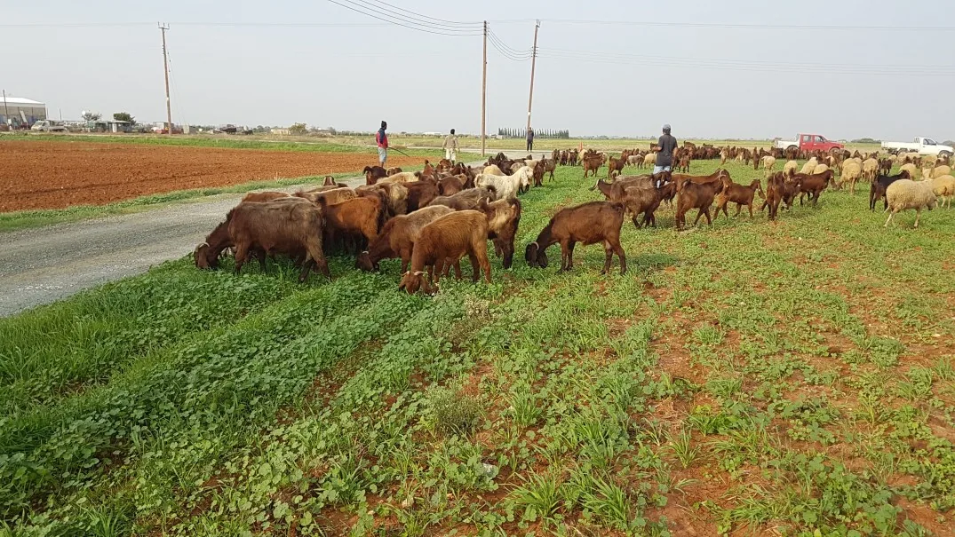 Famagusta Ghost City