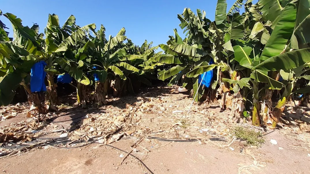 Agricultural Heritage Tour